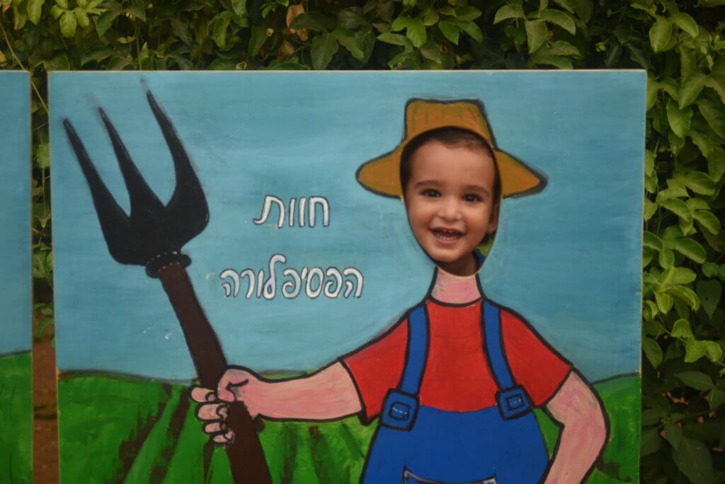 פסיפלורה