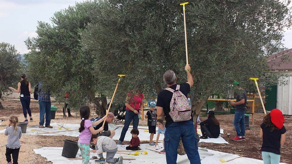 הקרקס החקלאי