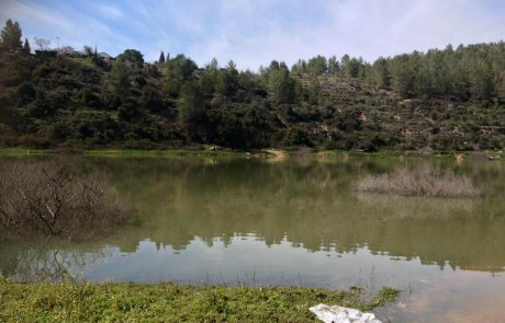 מסלול טיול לאגם בית זית – מאגר בית זית בהרי ירושלים