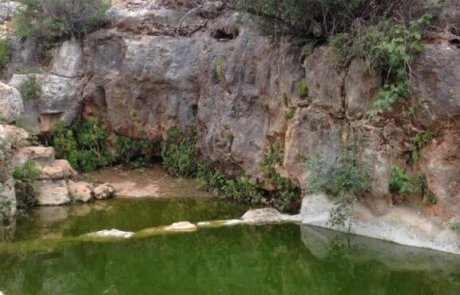 שביל המעיינות בפארק גיבורות התנ"ך בחבל בנימין