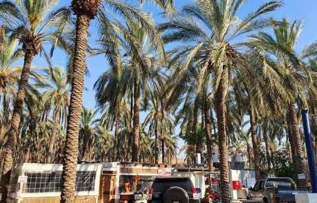 דיימונד קראוון – מוזמנים להכיר את היהלום שבטבע