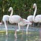 חי פארק קריית מוצקין גן החיות היפה בישראל!