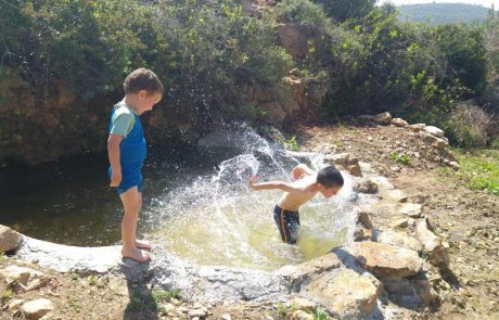 בחינם – טיולי שישי למעיינות בחבל בנימין